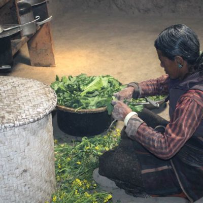 A Gift of a Greenhouse