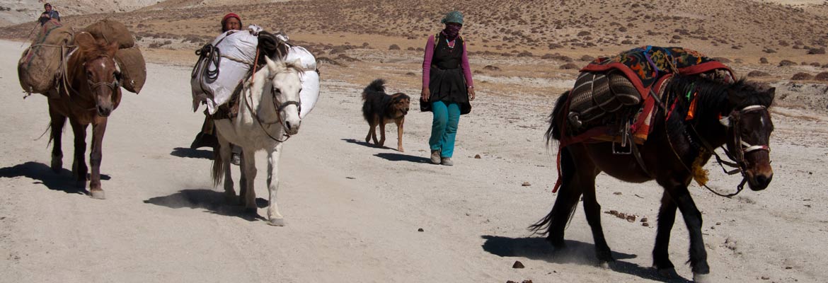 upper-mustang-walking-1170