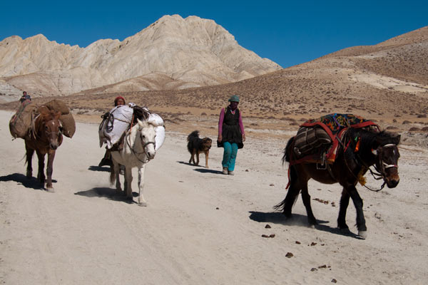 upper-mustang-walking-600