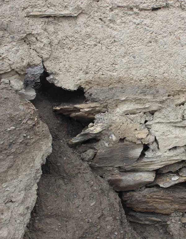 wall-pema2-600-773 wall-pema2-600-773