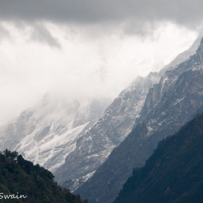 Swain-20150317-333-53