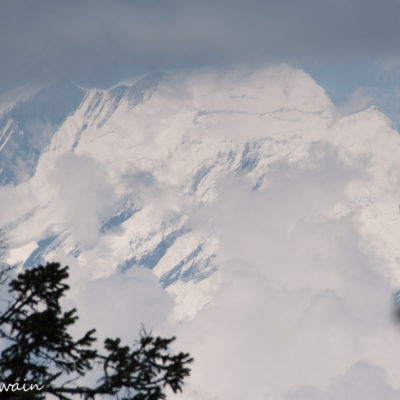 Swain-20150319-548-80