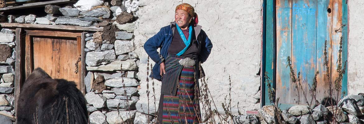 everest w2 1170 400