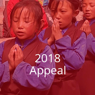 2018-appeal2