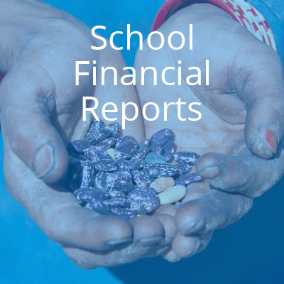 financial-reports