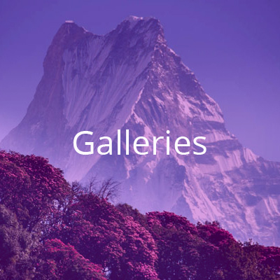 galleries48