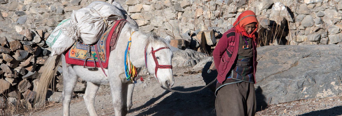 return-dolpo-4-1170-400