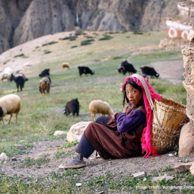Yungdung-Tsewang-Grg--crop