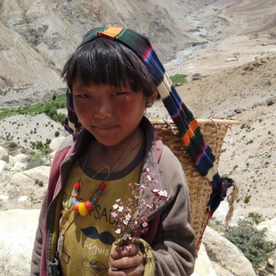 A Gift of Education Yak Train For Schools