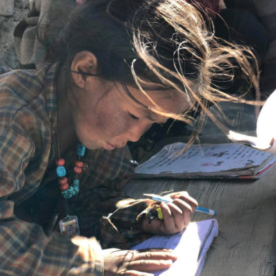 A Gift of Education Yak Train For Schools